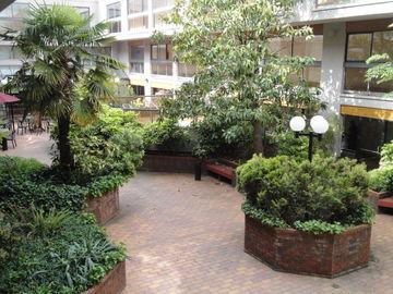 Executive Inn Express Vancouver Airport Ρίτσμοντ Εξωτερικό φωτογραφία
